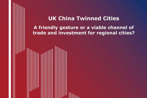 Twinned Cities e-book cover