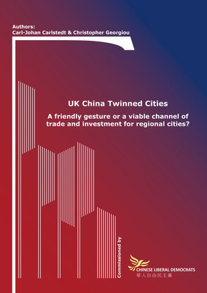 Twinned Cities e-book cover